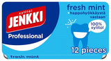 Jenkki Professional Fresh Mint 17g, 18-Pack - Scandinavian Goods