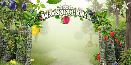 Dronningholm Apple Vanilla Jam 440g - Scandinavian Goods
